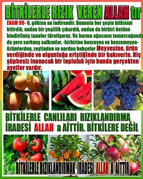 Allahin varlığının delilleri nelerdir?, allahin delilleri, allah in delilleri, allah-delilleri, allah var, #allah