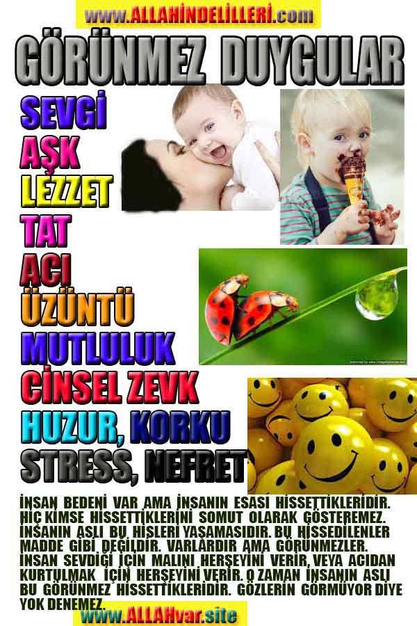 Allahin varlığının delilleri nelerdir?, allahin delilleri, allah in delilleri, allah-delilleri, allah var, #allah