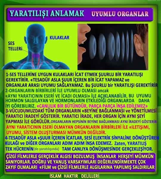 Allahin varlığının delilleri nelerdir?, allahin delilleri, allah in delilleri, allah-delilleri, allah var, #allah