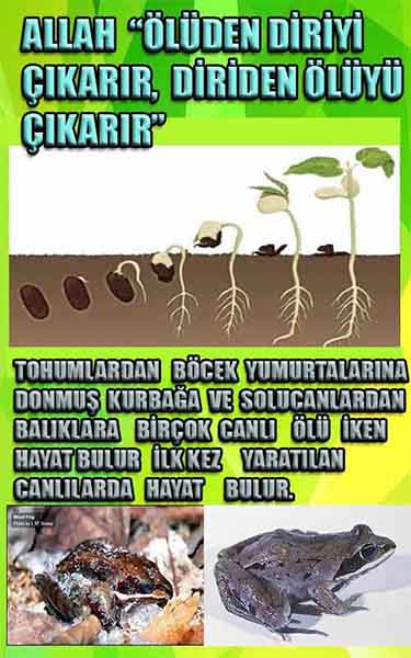 ALLAH, Allahin varlığının delilleri nelerdir?, allahin delilleri, allah in delilleri, allah-delilleri, allah var, #allah