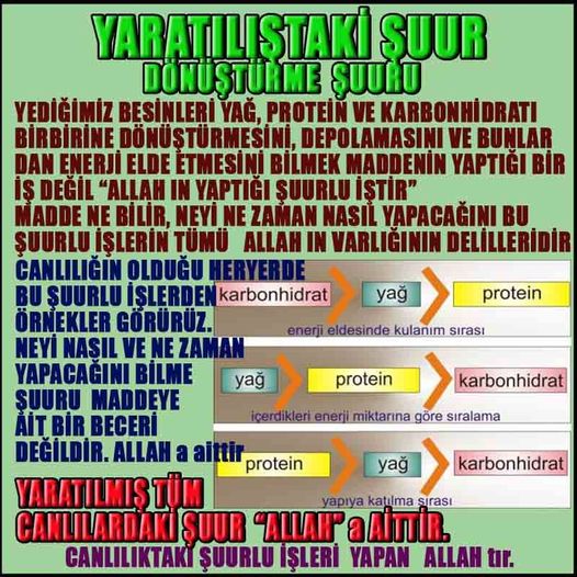Allahin varlığının delilleri nelerdir?, allahin delilleri, allah in delilleri, allah-delilleri, allah var, #allah