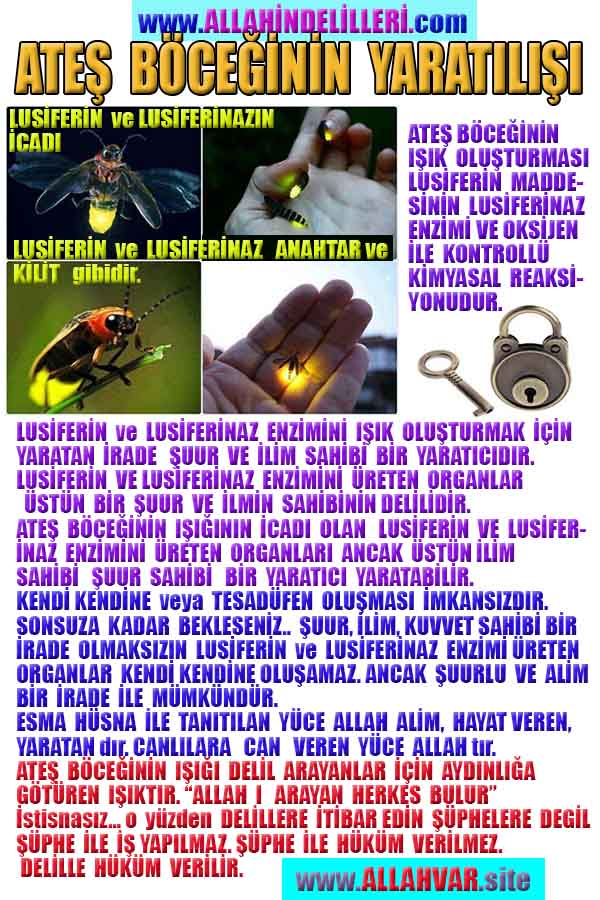 Allahin varlığının delilleri nelerdir?, allahin delilleri, allah in delilleri, allah-delilleri, allah var, #allah