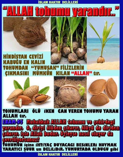 ALLAH, Allahin varlığının delilleri nelerdir?, allahin delilleri, allah in delilleri, allah-delilleri, allah var, #allah