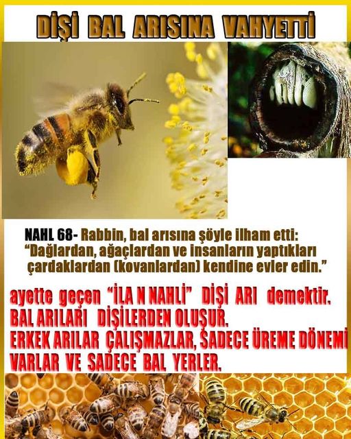 ALLAH, Allahin varlığının delilleri nelerdir?, allahin delilleri, allah in delilleri, allah-delilleri, allah var, #allah