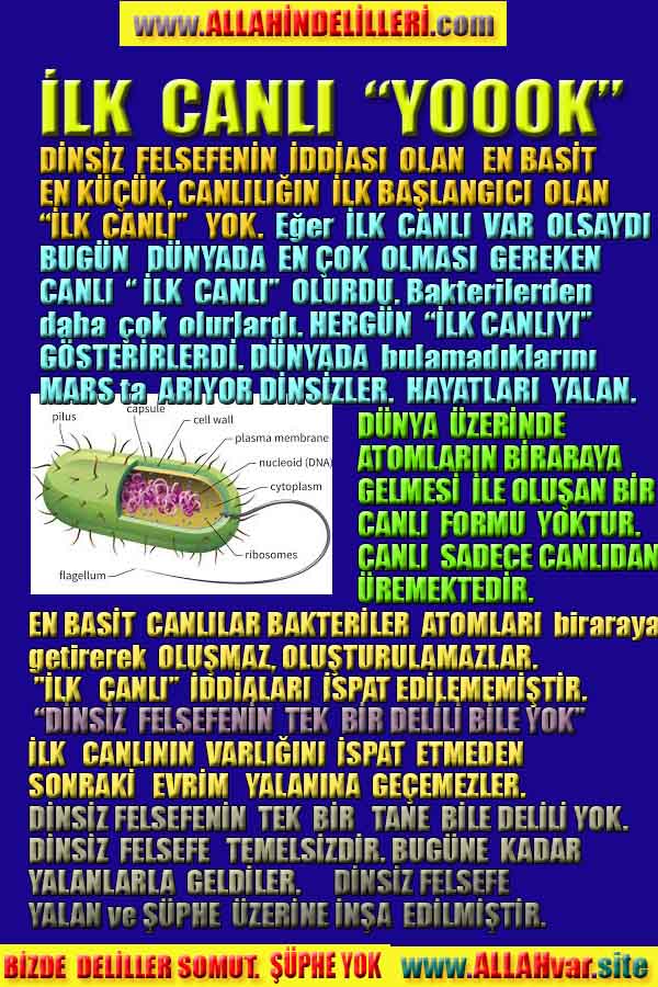 ALLAH, Allahin varlığının delilleri nelerdir?, allahin delilleri, allah in delilleri, allah-delilleri, allah var, #allah