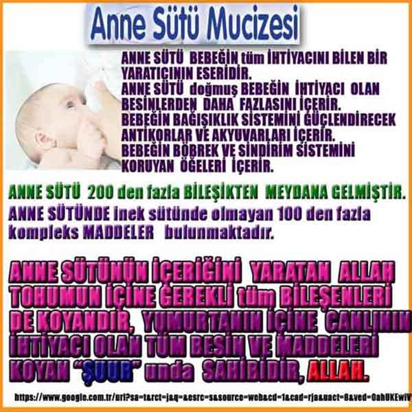 Allahin varlığının delilleri nelerdir?, allahin delilleri, allah in delilleri, allah-delilleri, allah var, #allah