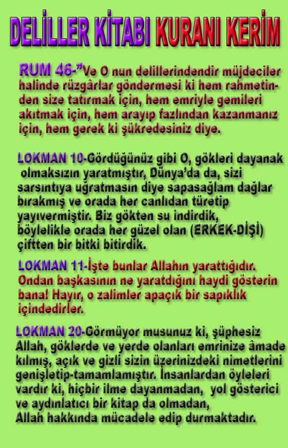 Allahin varlığının delilleri nelerdir?, allahin delilleri, allah in delilleri, allah-delilleri, allah var, #allah