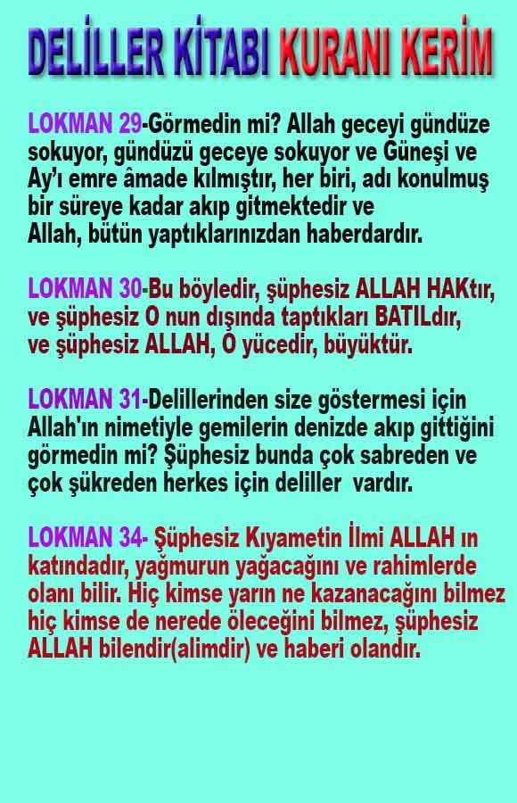 ALLAH, Allahin varlığının delilleri nelerdir?, allahin delilleri, allah in delilleri, allah-delilleri, allah var, #allah