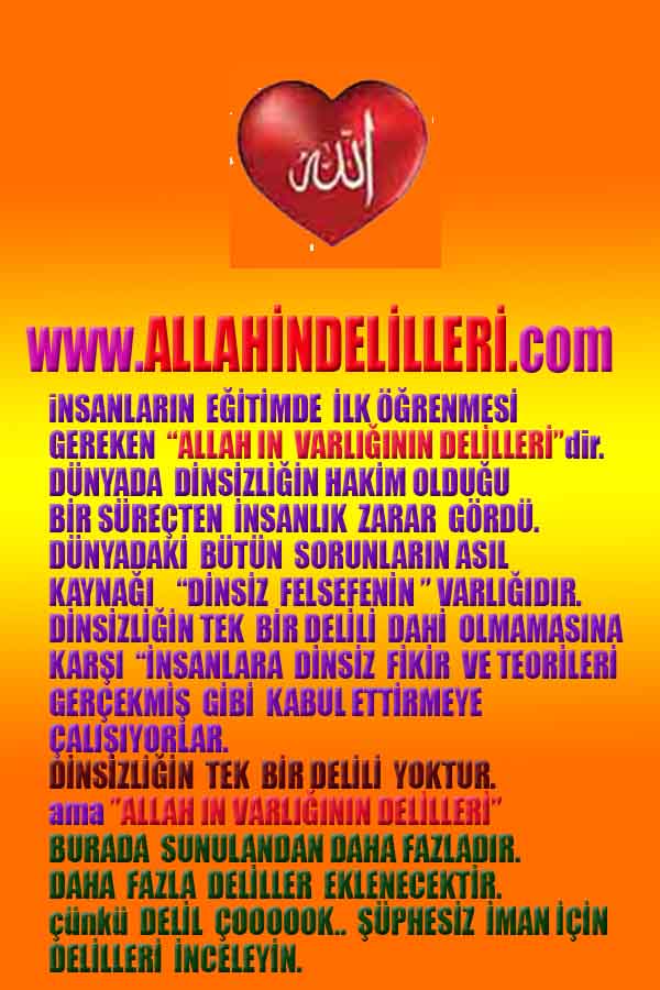 Allahin varlığının delilleri nelerdir?, allahin delilleri, allah in delilleri, allah-delilleri, allah var, #allah