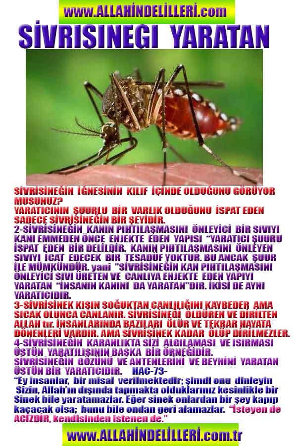 Allahin varlığının delilleri nelerdir?, allahin delilleri, allah in delilleri, allah-delilleri, allah var, #allah