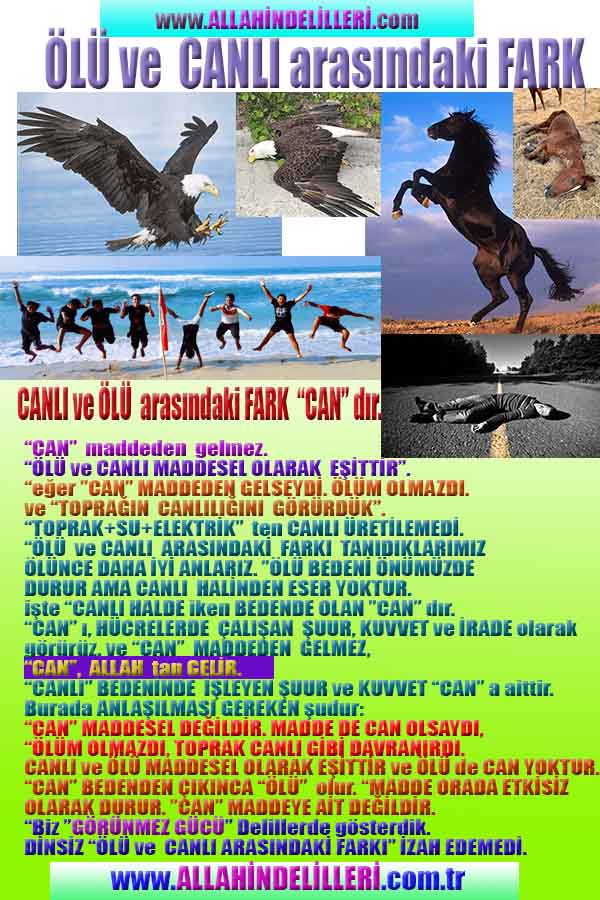 Allahin varlığının delilleri nelerdir?, allahin delilleri, allah in delilleri, allah-delilleri, allah var, #allah